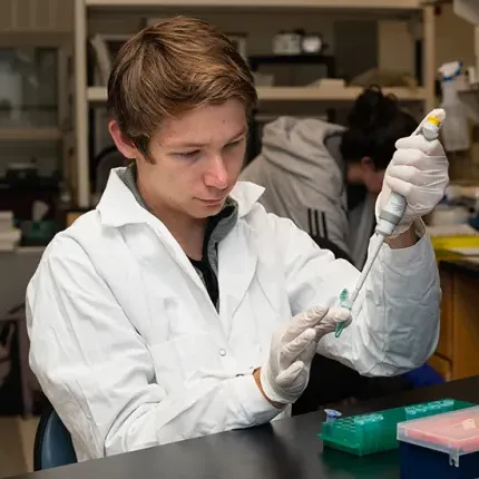 A student working in a lab